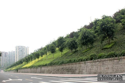 喷播机厂