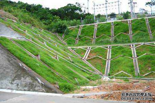高速公路边坡绿化