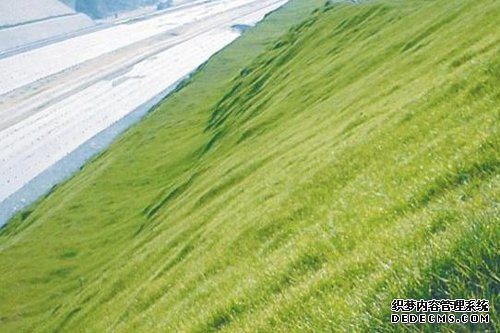 边坡绿化设备施工